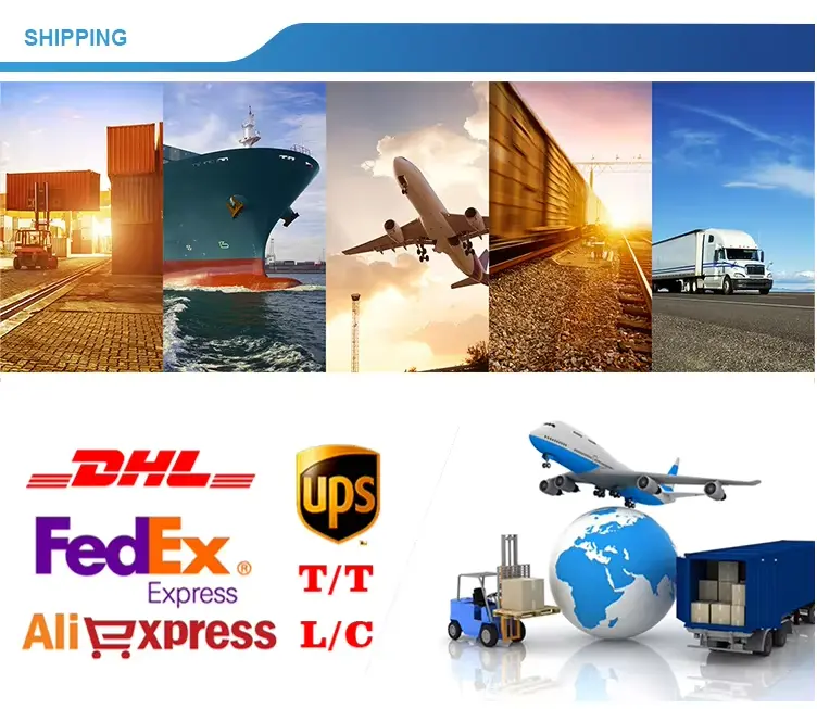 Type D Centrifugal Ventilator Fan